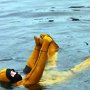 Sea Cadet survival swimming training